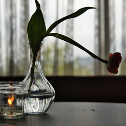 AN_05827(telaat)wtrmrk.jpg