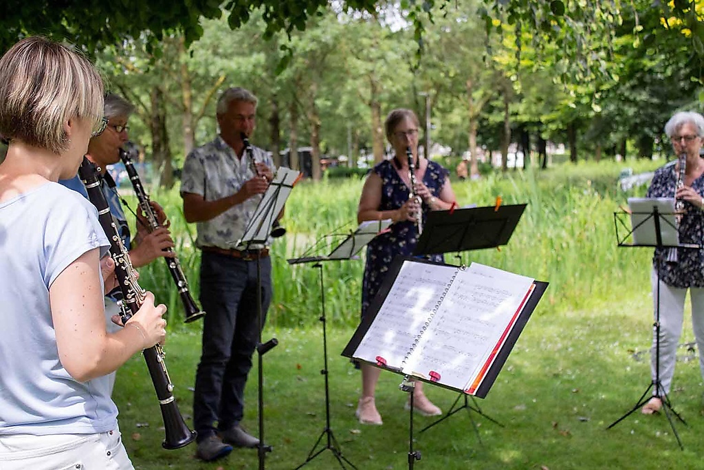 Blazersklassen volwassenen