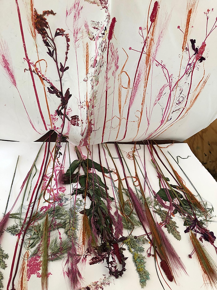 GRAFISCHE TECHNIEK - NATUURDRUK