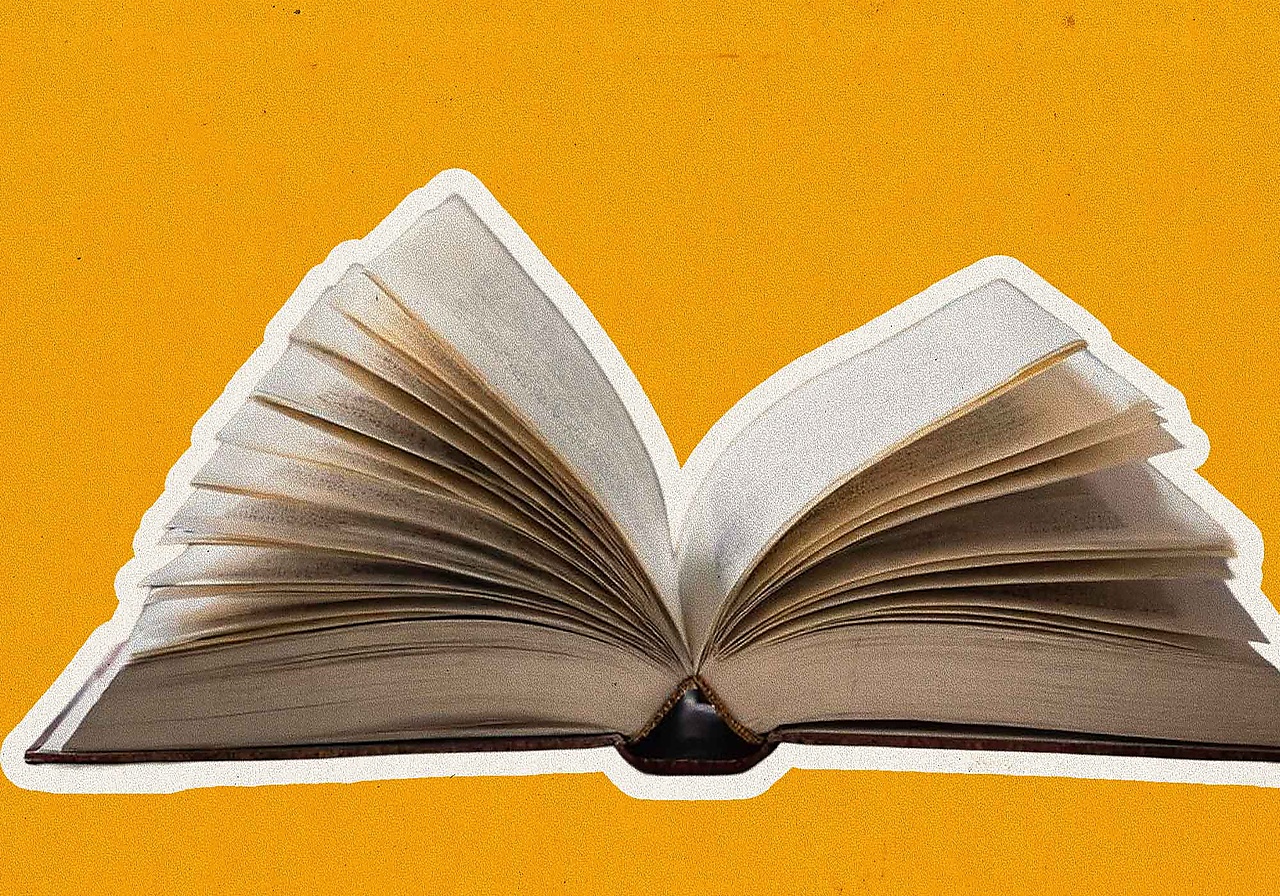 Literatuur-beschouwing