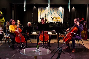 >Voucher 10 lessen cello, ouder dan 21 jaar afbeelding